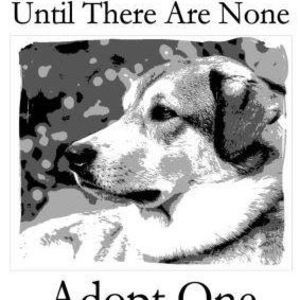 Meet your Posher, Daisy